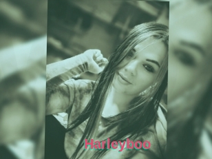 Harleyboo