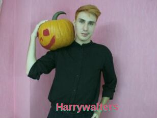 Harrywalters