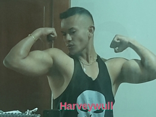 Harveywull