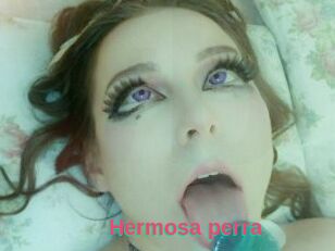 Hermosa_perra