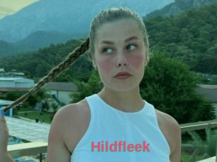 Hildfleek