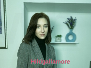 Hildgallamore
