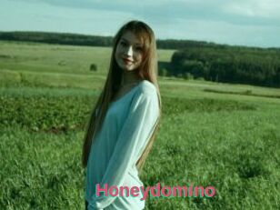 Honeydomino