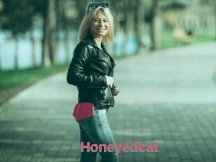 Honeyedcat
