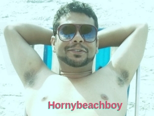 Hornybeachboy