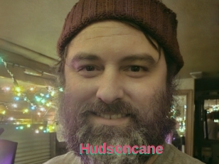 Hudsoncane