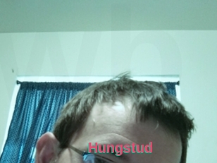 Hungstud