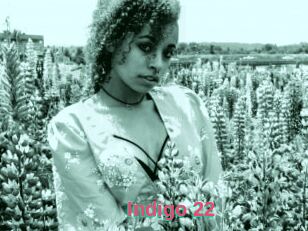 Indigo_22