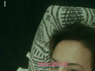 Itastallion