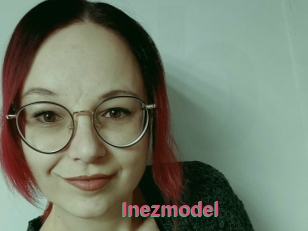 Inezmodel