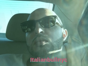 Italianbullnyc