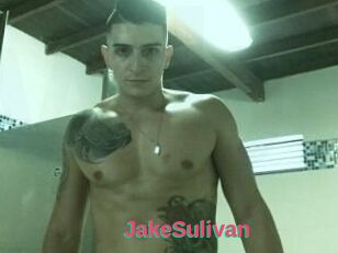 Jake_Sulivan