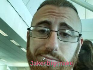 Jakesbigsnake
