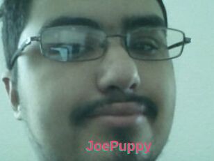 JoePuppy