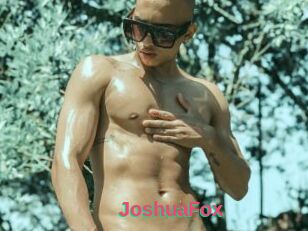 JoshuaFox