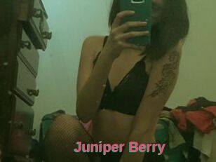 Juniper_Berry