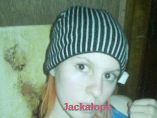 Jackalope
