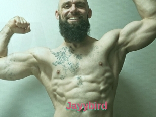 Jayybird