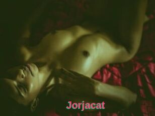 Jorjacat