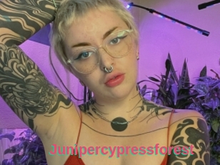 Junipercypressforest