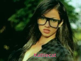 Kattiecat
