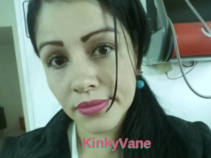 KinkyVane