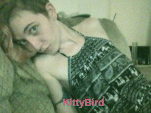 KittyBird