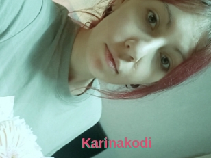 Karinakodi