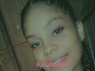 Kataleya65