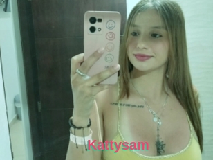 Kattysam