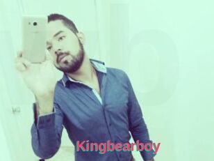 Kingbearboy