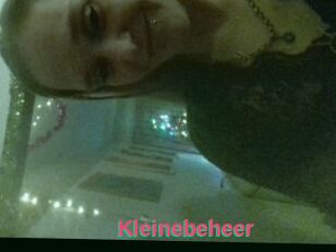 Kleinebeheer