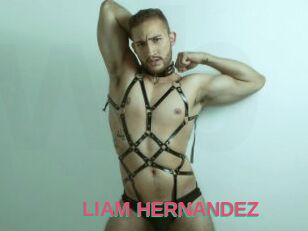 LIAM_HERNANDEZ