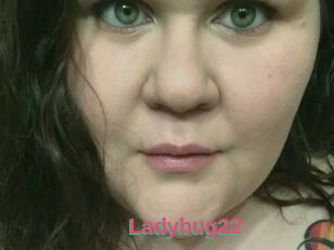 Ladybug22