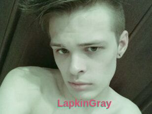 LapkinGray