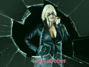 LarisaDober