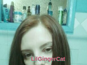 LilGingerCat