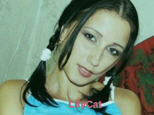 Lily_Cat_