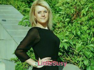 LittleSusy