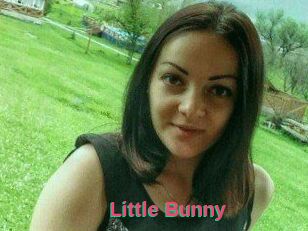Little_Bunny_