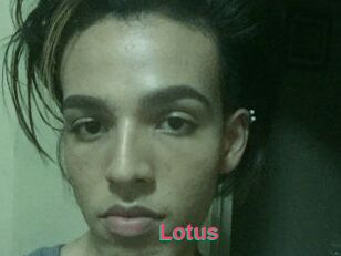 Lotus