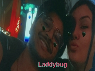 Laddybug