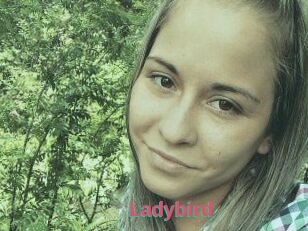 Ladybird
