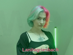 Lanitagriesbach