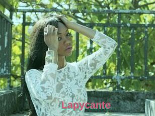 Lapycante
