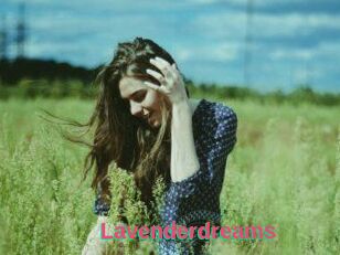 Lavenderdreams