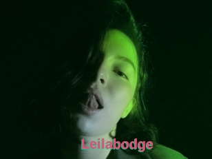 Leilabodge