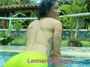 Leonardosantos