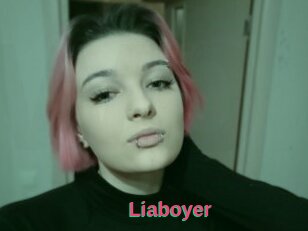 Liaboyer