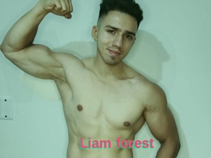 Liam_forest